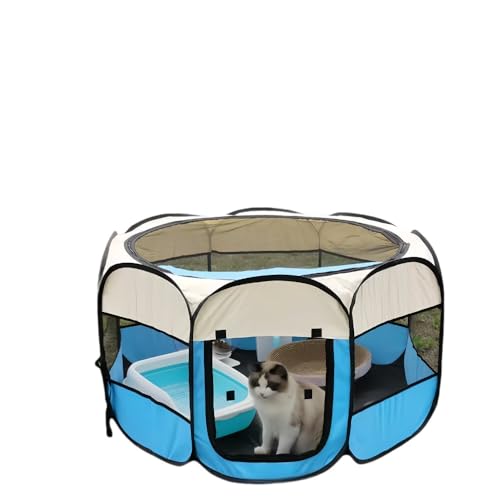 yChopEasezybgtFX܂肽ݎEhegp`bVʋC|[^uqtFXL玺LP[WƉO (u[,傫TCY)