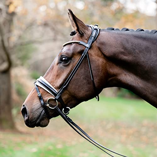 Lumiere Equestrian 'Mercie' Rolled White Padded Bridle Black Full #TOP2