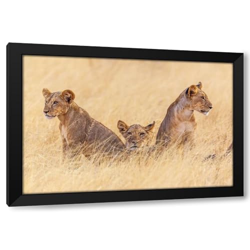ArtDirect Future Patriarchs Custom Framed Art Print Giclee Print or Canvas Options with Various Sizes and Customization by C. Sink, Jeffrey