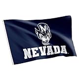 Desert Cactus University of Nevada Reno UNR Flag - 3 x 5 Feet Pack Banner, Indoor/Outdoor Durable Fabric, 100% Polyester Design (Style 2)