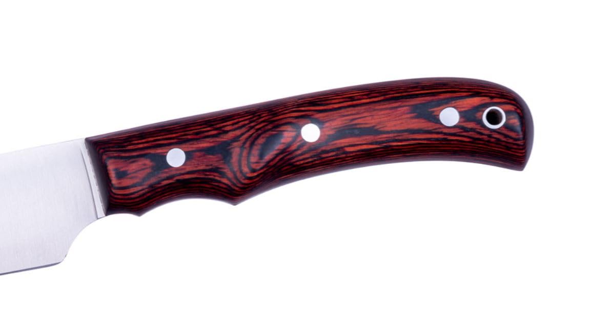 LO TRINCO YO Muela CRIOLLO- 20 R hoja de acero MoVa de 20 cm y empuñadura de madera de Coral para Caza, Pesca, Supervivencia y Bushcraft