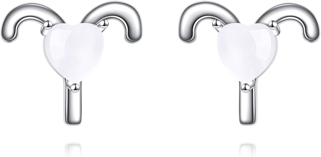 Zodiac Earrings - 925 Sterling Silver Constellation Studs - Women's Jewelry Gifts
