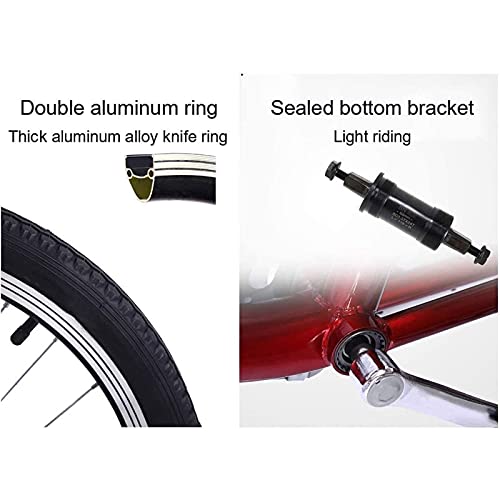 ZJZ Volwassen Driewieler Met Winkelmand Drie Wielige Fiets 16 Inch Trike Fiets Voor Winkelen Picknick Buitensporten… - Afbeelding 6