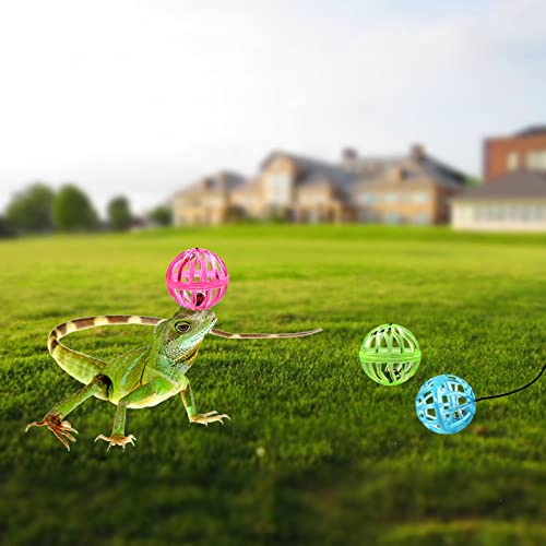 6 Pack Bearded Dragon Toy Bell Balls, Reptile Lizard Toy Ball With Suction Cup And Rope For Bearded Dragon, Lizard, Gecko, Small Pet Animals #TOP6