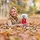 Dolahovy Hunde Hoodie Kleidung für Haustiere Weiche Herbst Winter Welpen Pullover Fleece Hundejacke Mäntel Baumwolle Hunde Outfit für Chihuahua Teddy Kleine Mittlere Hunde Katzen