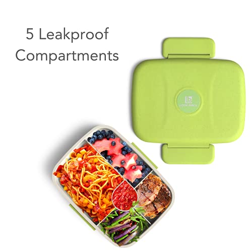 Fenrici Bento Lunch Box For Kids And Teens, Made With Wheat Straw, 5 Leakproof Compartments, Bpa-Free Bento Box, Microwave And Dishwasher Safe, Green #TOP1