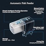 Holzsammlung B099JHZG35 lato 2