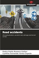 Road accidents: Conceptualization, accident rate, damage and terrain survey 6208004136 Book Cover