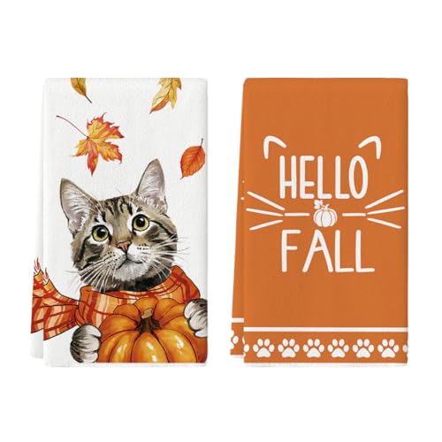 Artoid Mode Cat Pumpkin Hello Fall Kitchen Towels Dish Towels, 18...