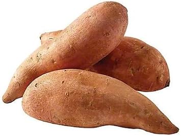 100pcs Brown Sweet Potato Vegetables Seeds