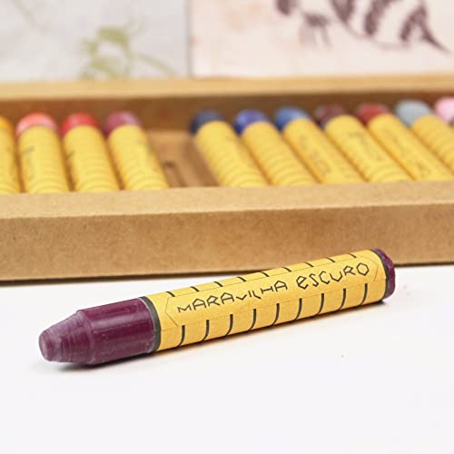 Giz De Cera De Abelha Apiscor Bastão Waldorf Caixa 16 Cores
