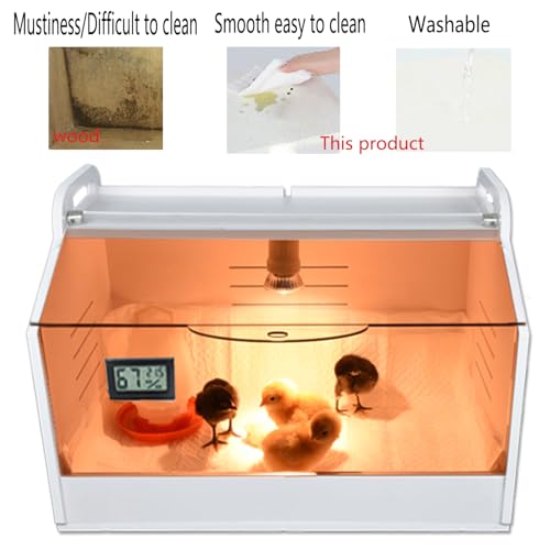 Boîte à couveuse WIONBE pour installer vos poussins à la maison - 3