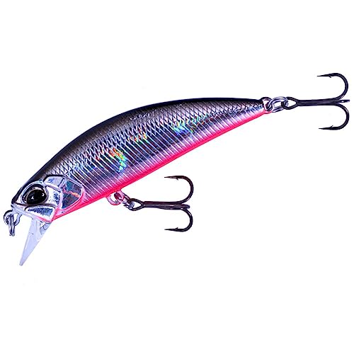 DUO(デュオ) ルアー スピアヘッド リュウキ 50S【限定カラー】CCCZ219/RPアメマス 9枚目