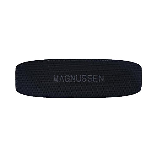 Magnussen Altavoz