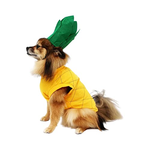 Midlee Pineapple Dog Halloween Costume (Large) #TOP5