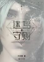 Codes of lost birds 7535457789 Book Cover