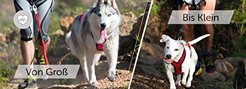 Northern Howl X-Back Zuggeschirr Fuer Bike-, Skijoring Dogscooting Schlitten in Blau Neongelb