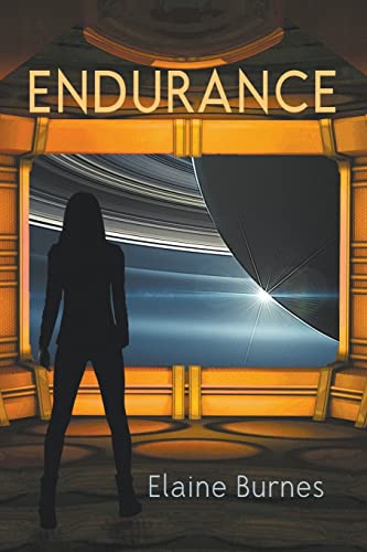 Endurance view 2