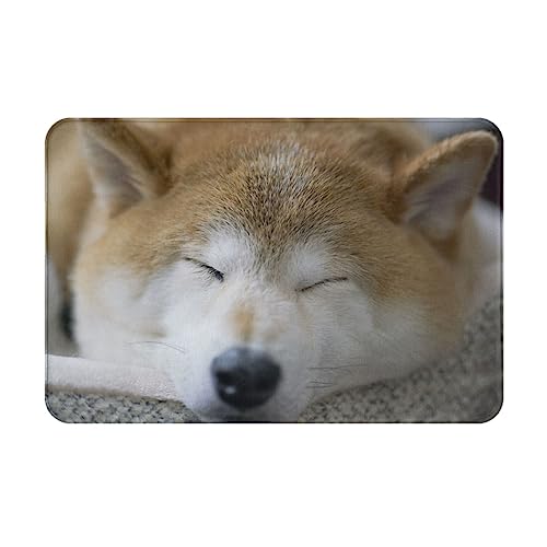 ���փ}�b�g�Č����ʌ����V�o�C�k�A�j�������}�b�g�z�������R�ۖh�L�o�X�}�b�g�z������~�ߖh�J�r�������L���o�X���[���L�b�`���l�G���p�J�[�y�b�g40×60cmSV43