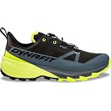 DYNAFIT Uomo Traverse 2 GTX Scarpe, Hurricane-Black out, 43