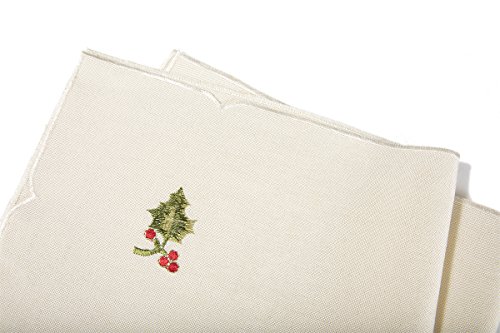 Xia Home Fashions Winter Berry Embroidered Christmas Napkins (Set Of 4), 21 By 21" #TOP5