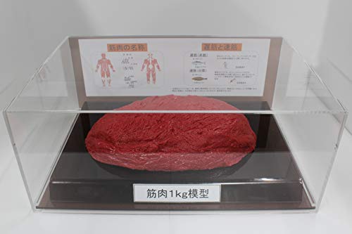 ؓ͌^ tBMAP[X 1kg _CGbg N 얞 g[jO t[hf HiTv