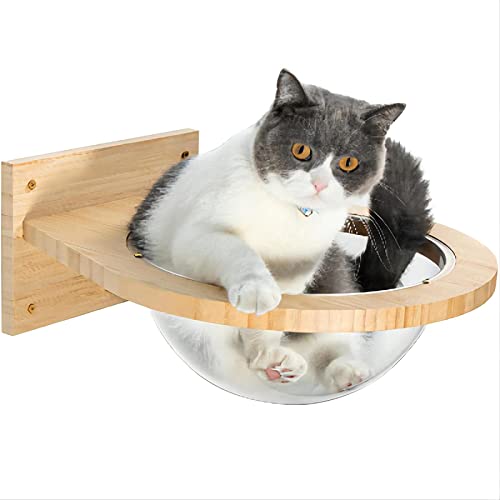 Parede Transparente Space Capsule Gatos Casa de Parede Gatos Árvore Gatos De Madeira Escalada Quadro