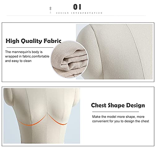 Encuentra reviews de Maniquís medio cuerpo disponible en línea para comprar. 24 Imagen adicional