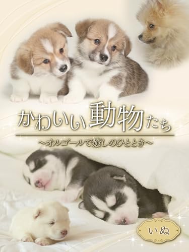 かわいい動物たち～オルゴールで癒しのひととき～いぬ