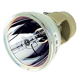 Cette lampe de remplacement est conçue for servir de source lumineuse principale for les modèles de projecteurs compatibles. Il fournit la luminosité nécessaire for projeter des images claires et visibles, prenant en charge diverses applications allant du divertissement home cinéma aux présentations.