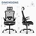 CELTOSS Ergonomic Office Chair, High Back Flip-Up Armrests Design, Adjustable Mesh Headrest and Lumbar Support, Steel Base, Black