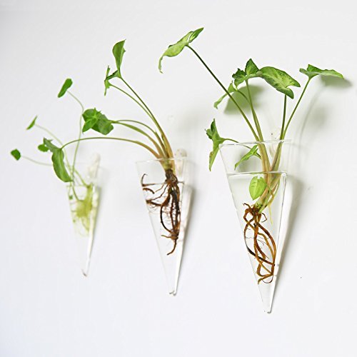 KingbuyWall Plant Holder Levitating Succulent Planter Hanging Glass Terrarium Flower Vase for Indoor Kitchen Home Mounted Decor, Cone Shape, 2 Pack-M