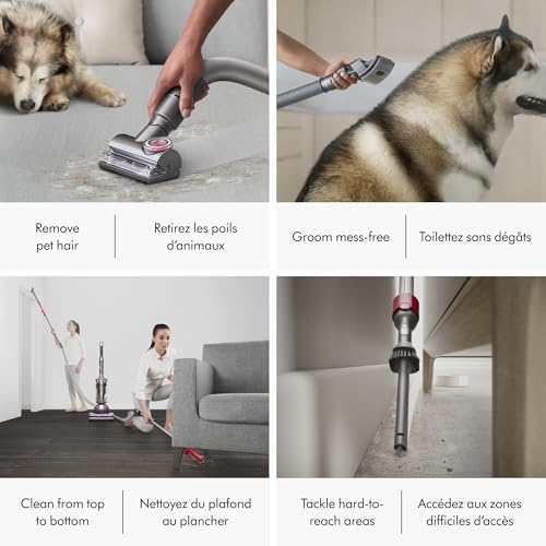 Dyson Ball Animal 3 Extra Corded Vacuum by Dyson - Used condition - Image 6