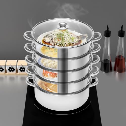 ROMYIX 5-Tier Steamer for Cooking, Stainless Steel Steamer Pan With Glass Lids, 304 Food-Grade Pot for Dumplings, Vegetables, Fish, Compatible with Gas & Induction Hob,Silver (26CM)