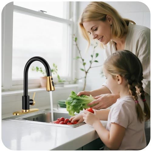 Image of Black & Gold Kitchen Faucet with Pull Down Sprayer and Deck Plate | SUS 304 Stainless Steel, Single Handle, 3 Spray Modes, 360 Swivel Spout, RV Laundry Bar Sink, Deck Plate, NSF372 NSF61 cUPC