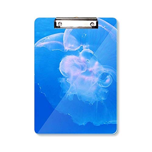 Porte-bloc A4 Jellyfish Bleu océan pour ne plus perdre vos feuilles volantes