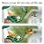 Bird Feeder with Camera, Solar Powered Outdoor Birdhouse, 2K HD AI Smart Identify Birds Species, Instant Motion Detection & Alerts, Capture BirdVideo, Gifts for Mom Dad and Bird-Lovers(Green)