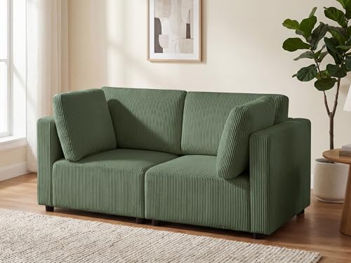 Arcrinte 66.9'' Loveseat Sofa Couch, 2-Seater Convertible Modular Sofa Bed, Corduroy Modern Sofa Set...