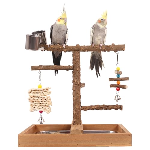 CHSEEO Jouets pour Perroquets et Perruches, Perchoir à Oiseaux, Accessoires pour Cage avec un Plateau, 2 Mangeoires, Jouets à Mâcher Suspendus, Grand Aire de Jeux pour Perruche Calopsitte Conure