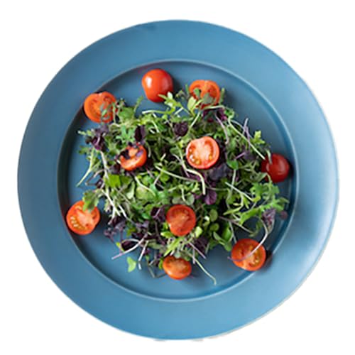 食卓彩るしあわせサラダセット(3人前)