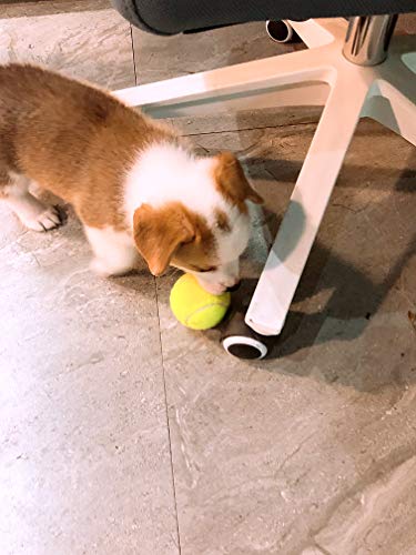 Insum Tennis Ball For Dog Pack Of 12 Colorful Easy Catching Pet Dog Ball #TOP3