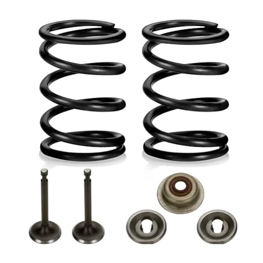 FVRITO 26lb Valve Springs with Retainer Kit for Predator 212cc 196cc 224cc GX160 GX200 Non Hemi 5.5HP 6.5HP OHV Clone Engine Powerhorse Coleman CT200U BT200X Mini Bike Go Kart Parts