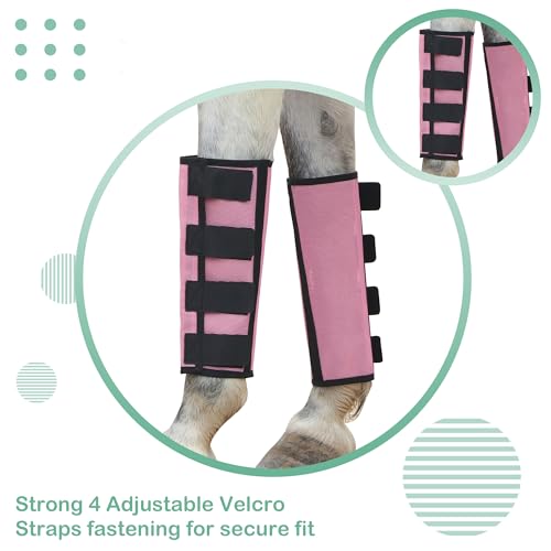Bottes anti-mouches pour chevaux en maille rose - Lot de 4 taille L