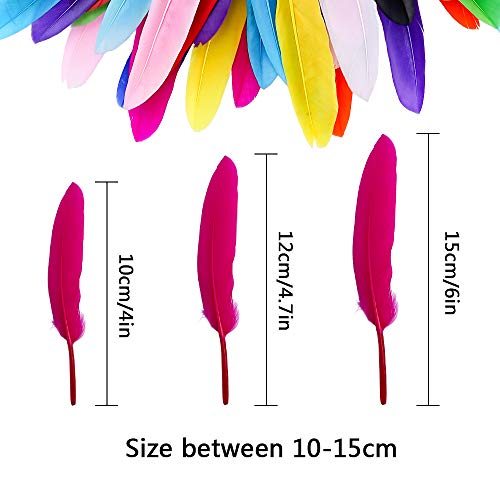Coceca 240Pcs Colorful Goose Feathers 4-6 Inches Natural Feathers For Diy Crafts #TOP1