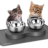 Tilted Elevated Dog Cat Feeding Bowls: Raised Cat Bowl with 1 Silicone Mat and 2 Stainless Steel Bow