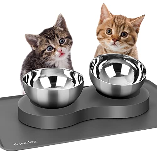 Tilted Elevated Dog Cat Feeding Bowls: Raised Cat Bowl With 1 Silicone Mat And 2 Stainless Steel Bowls For Water And Food, Suitable For Kitty And Puppy (Grey) #TOP18