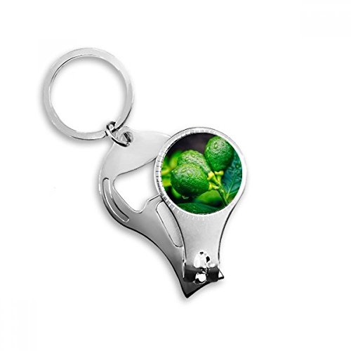 Fresh Fruits Lemon Picture Photography Nail Nipper Ring Key Chain Bottle Opener Clipper
