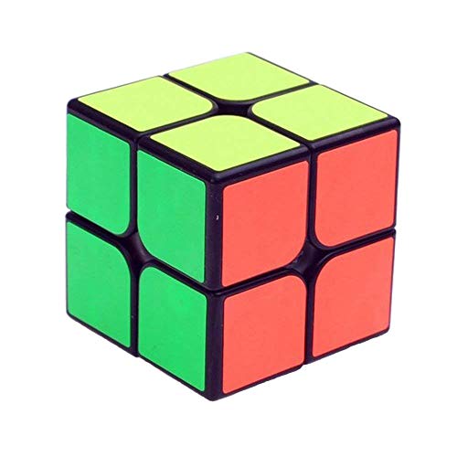 Generic YJ GuanPo Smooth Speed 2x2 Stickerless Puzzle Cube, Black