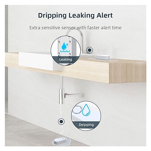 Capteur de fuite d'eau RF433 avec alarme sonore pour vanne connectée