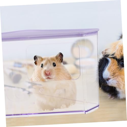 Hygiène pour chinchilla optimale avec ce bac à sable robuste - 7